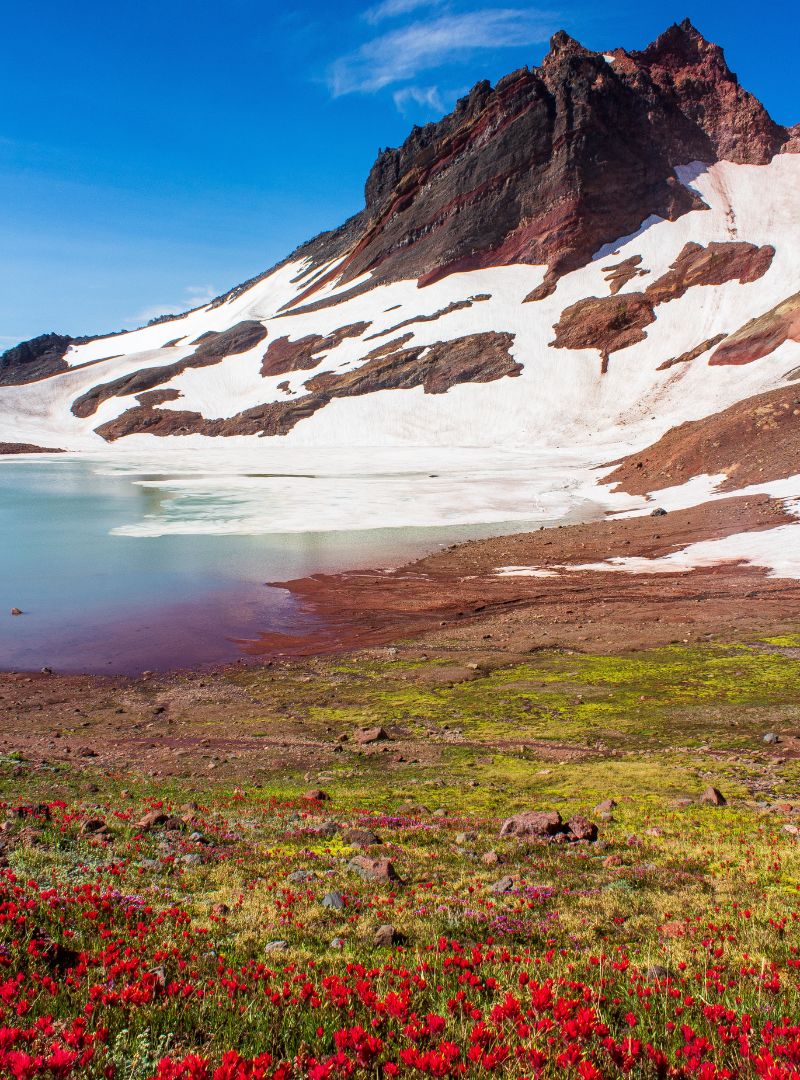 Spring is Blooming All Over the Great Northwest