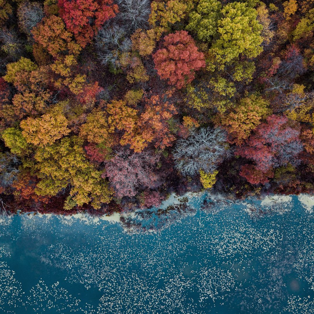 Autumn Hikes in the Pacific Northwest
