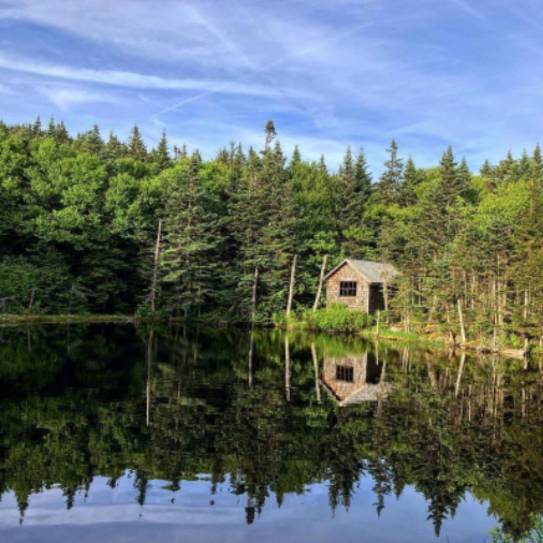 Larsen's Latest from the Trail