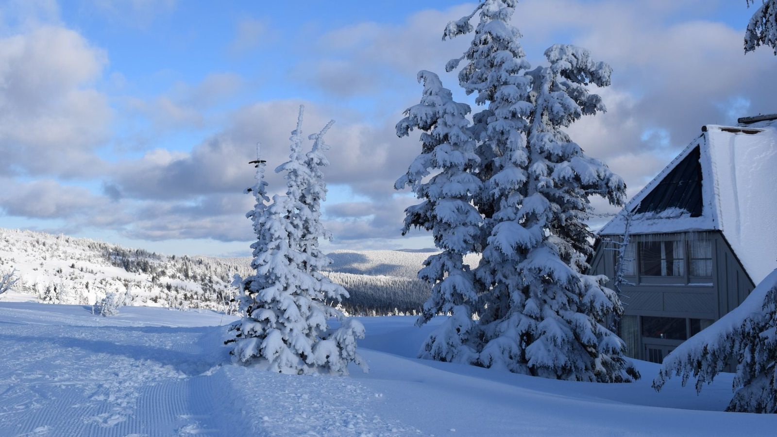 Cascadia Instant Adventure